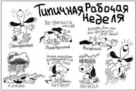 ртититптпт.jpg