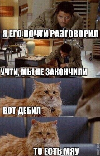 h-153220.jpg