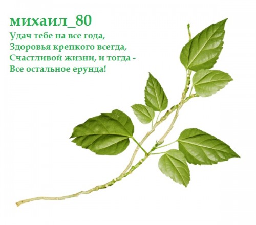 веточка2.jpg