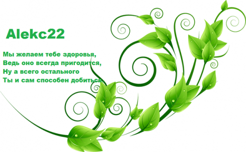 веточка.png