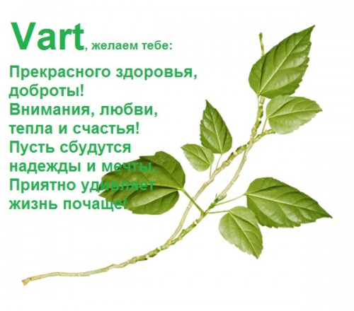 веточка -.jpg