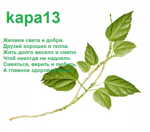 веточка -.jpg