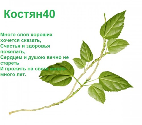 веточка -.jpg