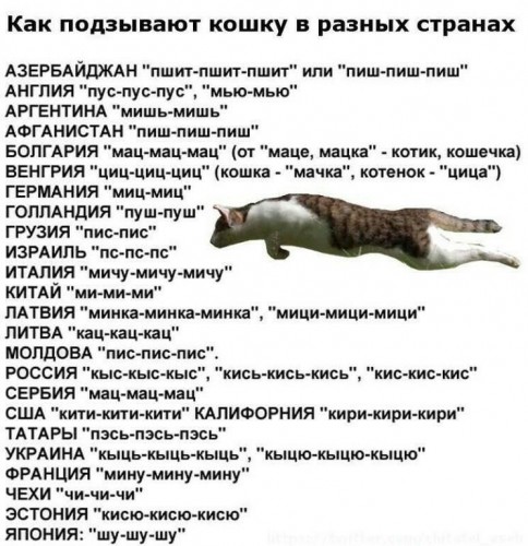cLtAQb4dy7A.jpg