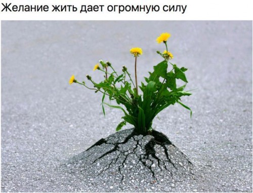 300721FE-7DF9-4DDB-BEE2-868562F7F6DD.jpeg