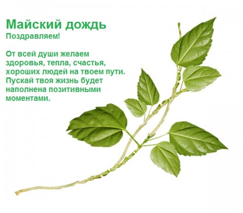 веточка.jpg