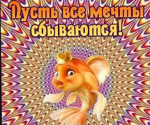 766B680C-E6B7-49EE-9804-080DEFCD9601.jpeg