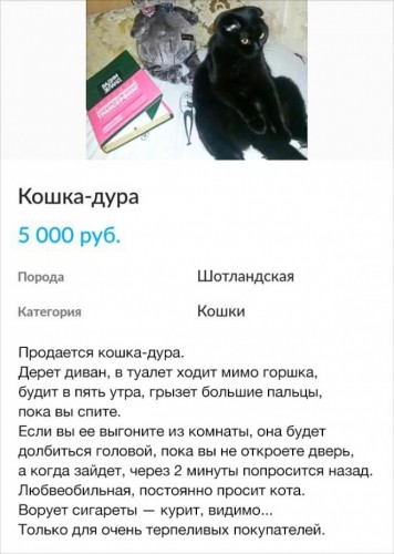 k.jpg