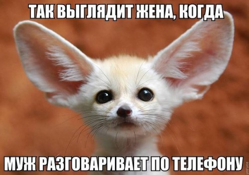 image(8).jpg
