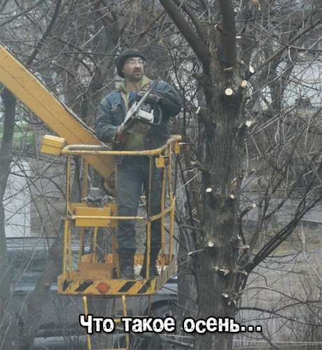 Ct1Ta94b48E.jpg