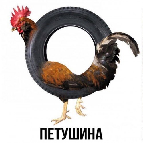 uSgxjaWbX2Q.jpg