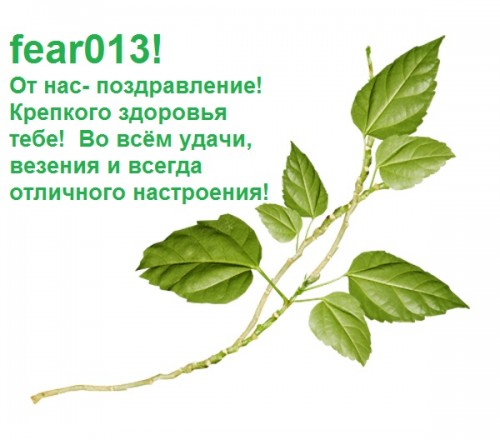 веточка__.jpg