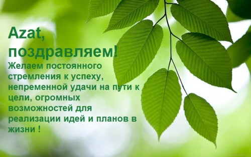 Зеленая-веточка_.jpg