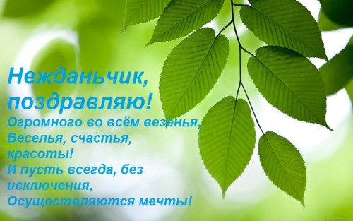 Зеленая-веточка.jpg