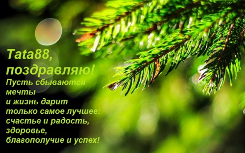 веточка.jpg