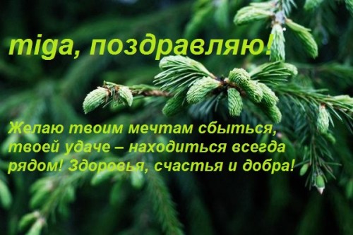 веточка-.jpg