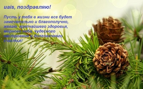 веточка.jpg