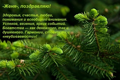 веточка.jpg