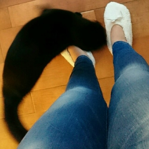 rps20180108_163609.jpg