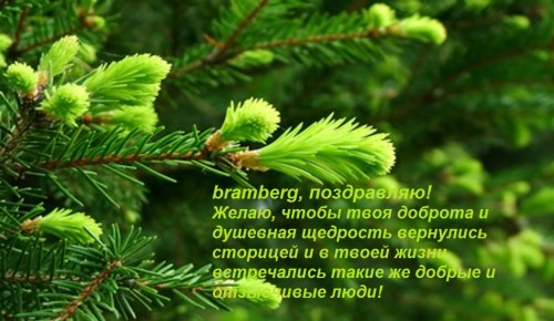 веточка-.jpg