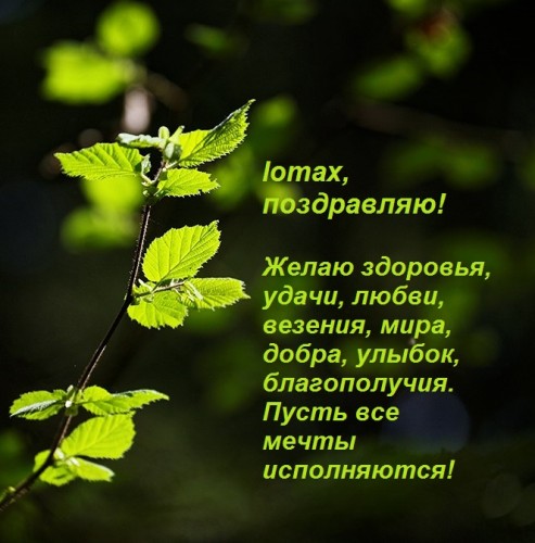 веточка,,.jpg