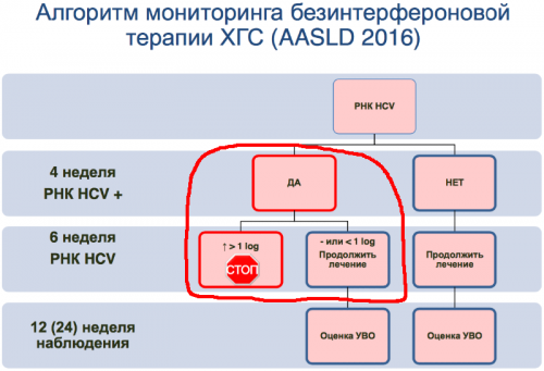 алгоритм мониторинга DAA терапии.png