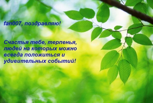 веточка.jpg