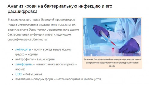 бак инф.jpg
