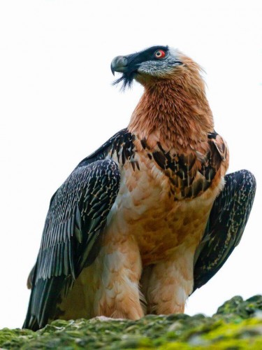 t7P1Xku7i3M.jpg (120.06 КБ) 311 просмотров t7P1Xku7i3M.jpg