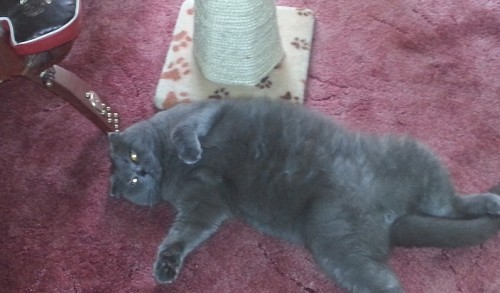 20120712_082353.jpg