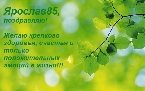 веточка.jpg