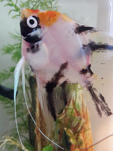 20180204_105638.jpg