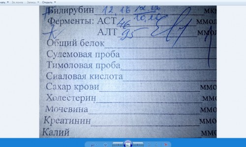 Снимок алт.JPG