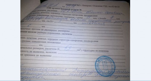 Узи 2012г.JPG