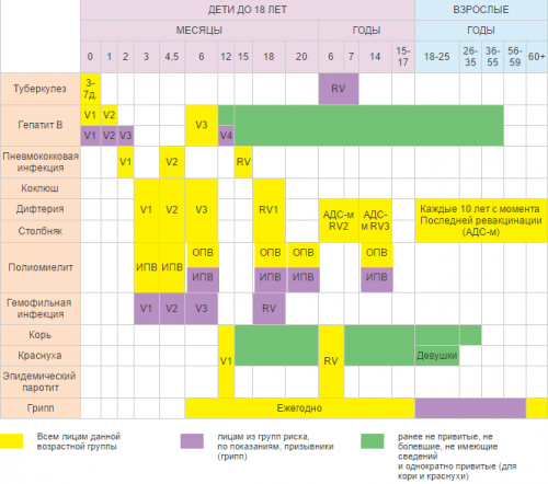 kalendar-privivok-detyam-i-vzroslym-rossiya-1.png