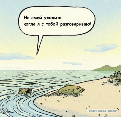 Z.jpg