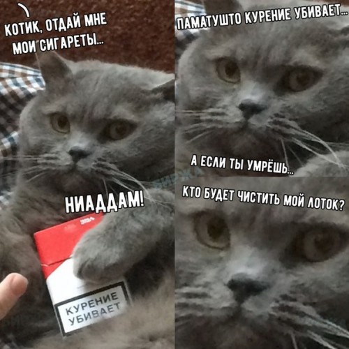 39NbE-m6wok.jpg
