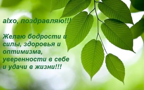 Зеленая-веточка.jpg