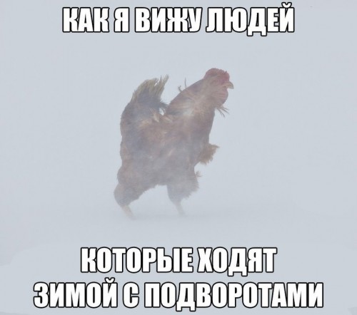 h-167316.jpg
