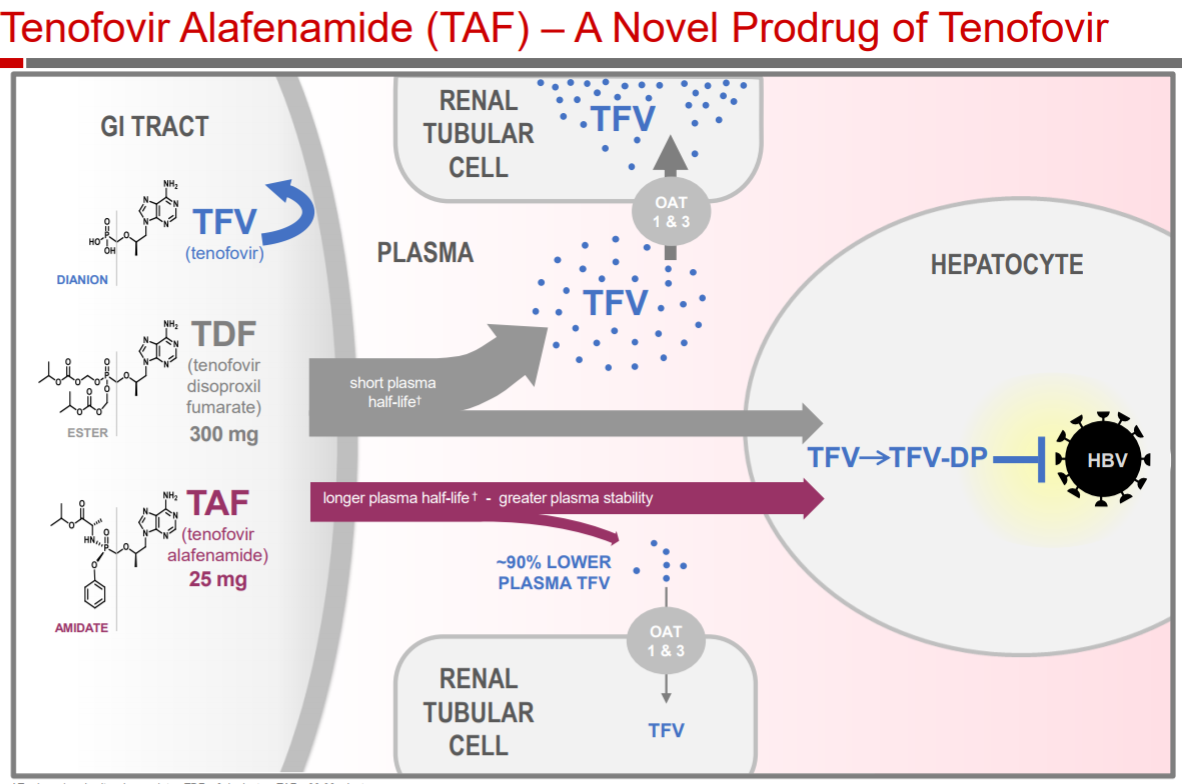  тенофовир алафенамид