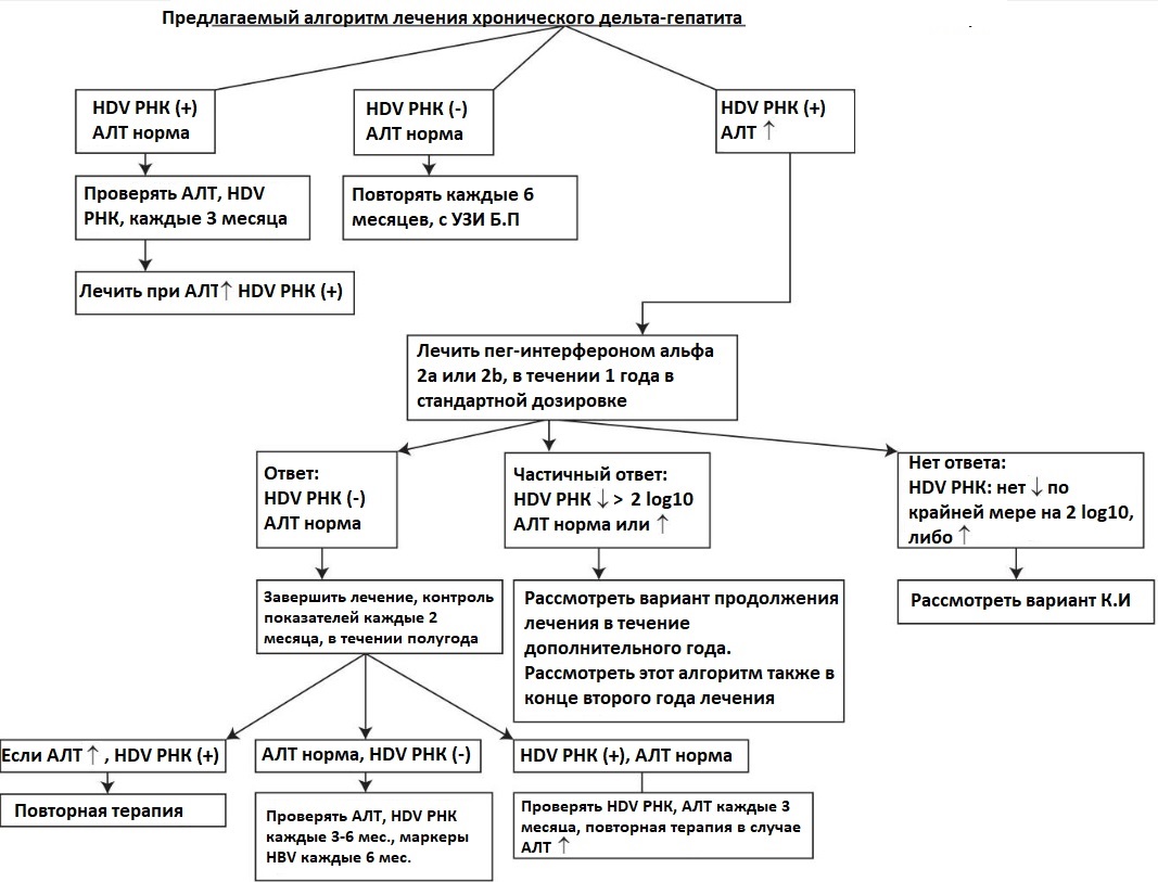 Алгоритмы лечения заболеваний. Алгоритм диагностики гепатитов. Схема лабораторной диагностики гепатитов. Алгоритм диагностики вирусных гепатитов. Лечение вирусного гепатита схема лечения.