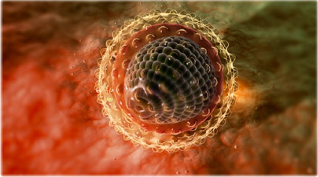 Содержится ли вирус гепатита с в семенной жидкости thumbnail
