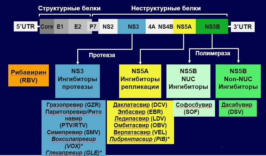  Основы комбинированного режима HCV 2016 года