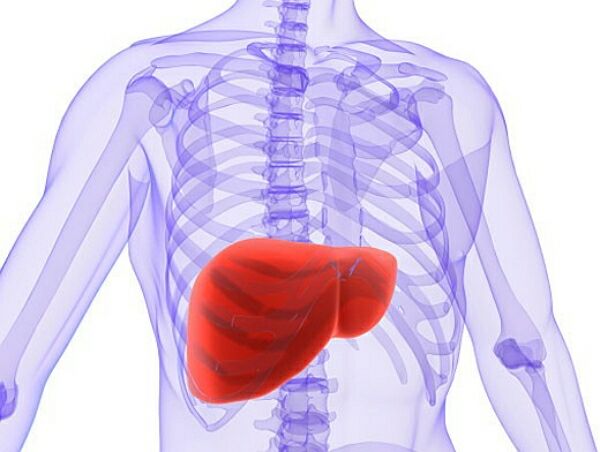 Лечение  цирроза печени