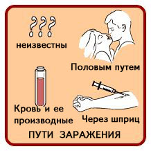 Как можно заразиться гепатитом 