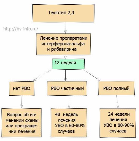 Схема лечения гепатита С генотипа 2 и 3