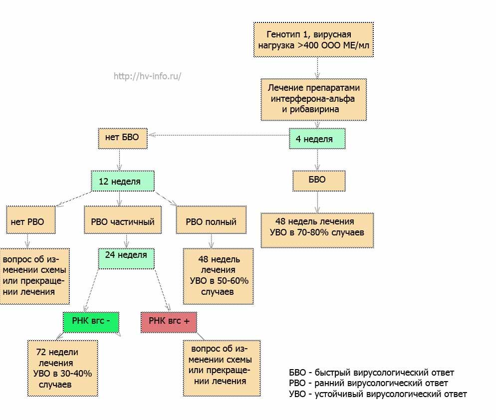 Схема противовирусной терапии гепатита С, генотип 1, высокая виремия