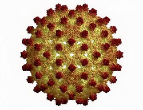 Вирусный гепатит с классификация лечение thumbnail